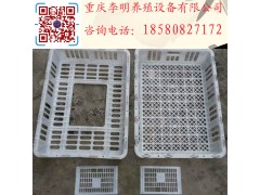 雞用運輸籠 成雞周轉(zhuǎn)籠 塑料雞籠 養(yǎng)殖運輸籠