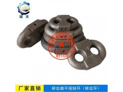 30x108扁平接鏈環濟南瑞天廠家供應歡迎