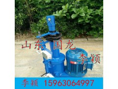 DTZ2500-700/80電動推桿·品牌國龍