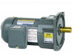 臺灣TPG三相異步電動機GH-22-400-60S-140