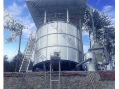 立式豬糞便處理發(fā)酵罐