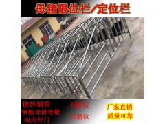 母豬限位欄落地限位欄廠家