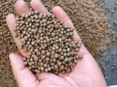 解決壓箱配重難題！3-6mm鋼丸-機械底座/船舶壓艙選