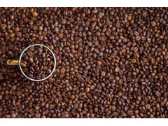 咖啡豆進口需要哪些單證資料