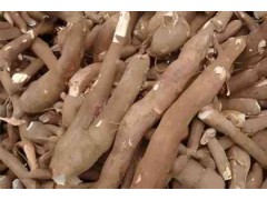 魔芋淀粉報關清關代理