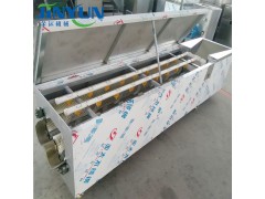 土豆紅薯毛輥清洗機 蓮藕大姜毛刷清洗去皮設備 芋頭去皮清洗機